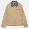 Chaqueta con cuello bordado en contraste Chaqueta con cuello bordado en contraste